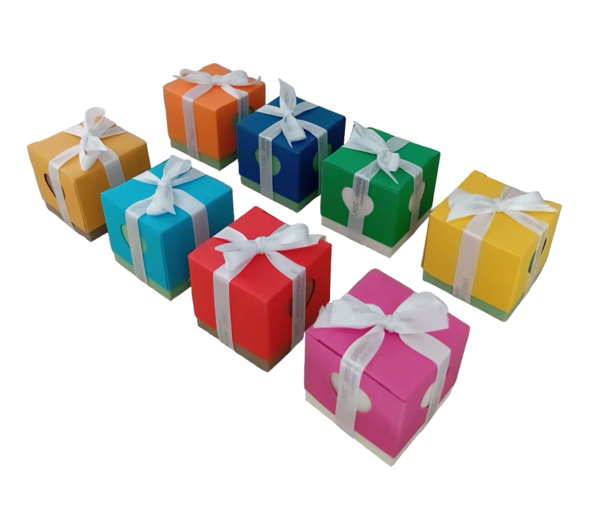 astucci colorati (2)