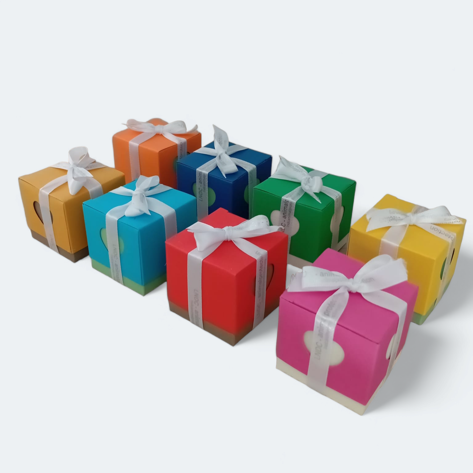 astucci colorati (3)