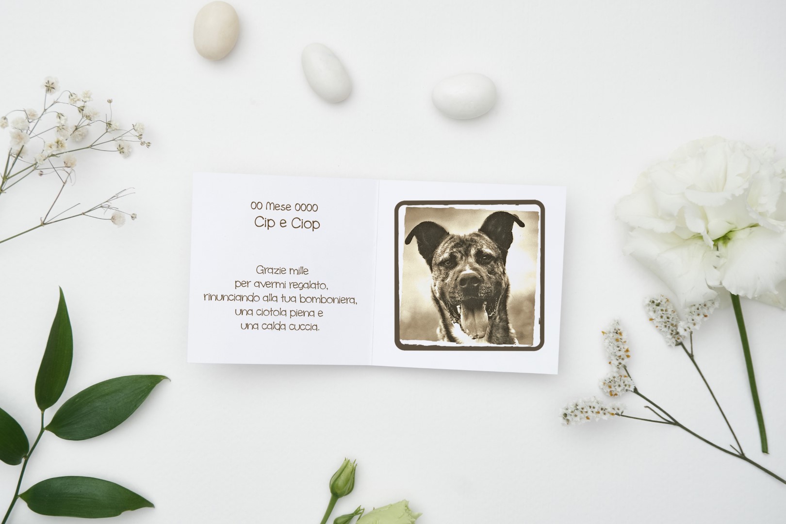 LNDC Bomboniera cartacea Cip e Ciop aperta