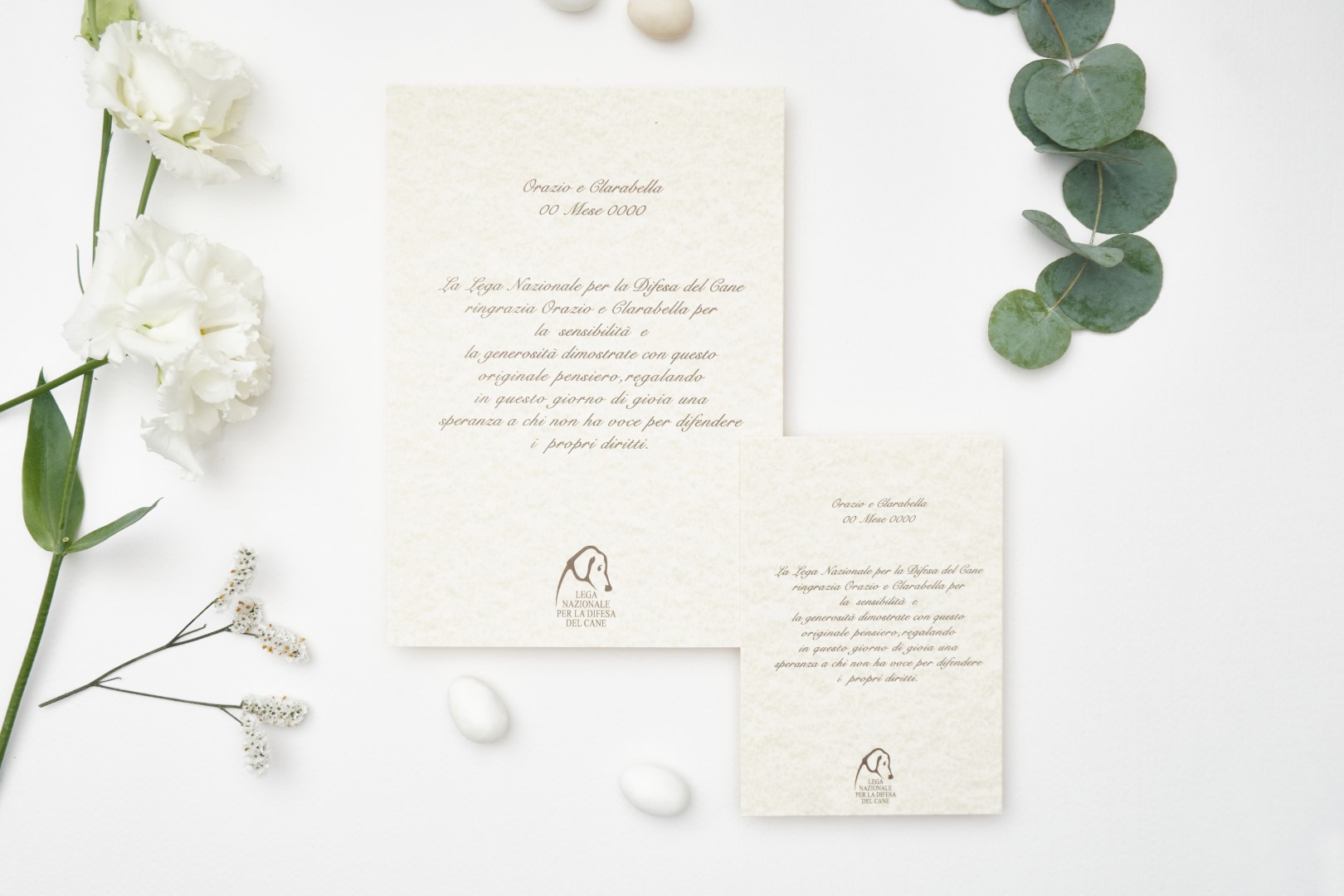 LNDC Bomboniere Partecipazione + invito - Orazio e Clarabella avorio