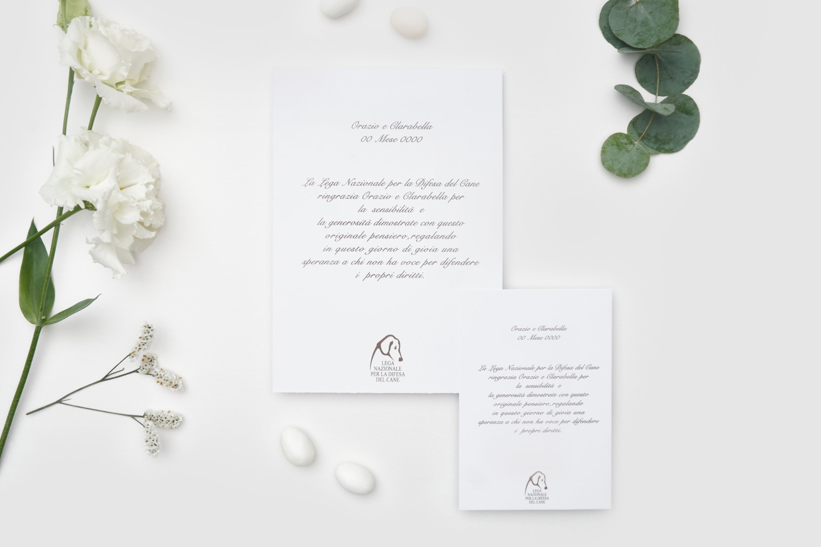 LNDC Bomboniere Partecipazione + invito - Orazio e Clarabella bianca